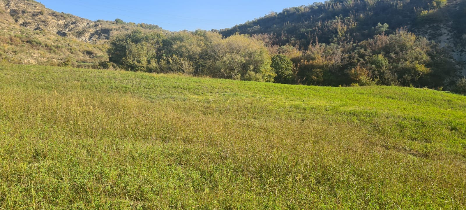 WhatsApp Image 2025-10-02 at 2.23.28 PM (4)